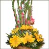 Exemplar Beauty - Click here to View more details about this Product